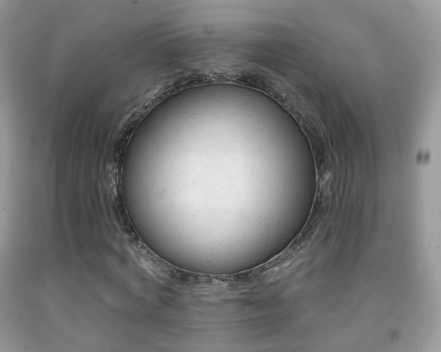X0000091970772200709061331