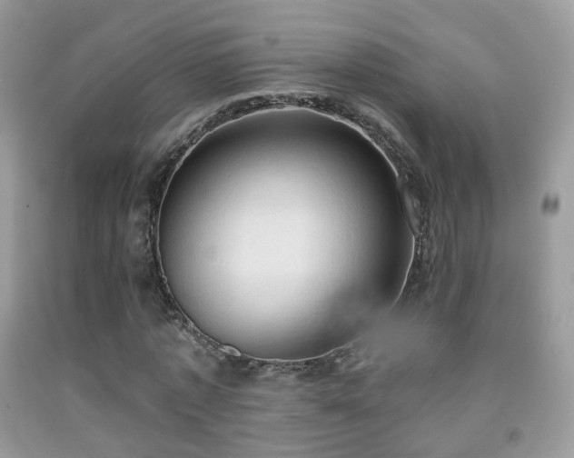 X0000091970773200709061331