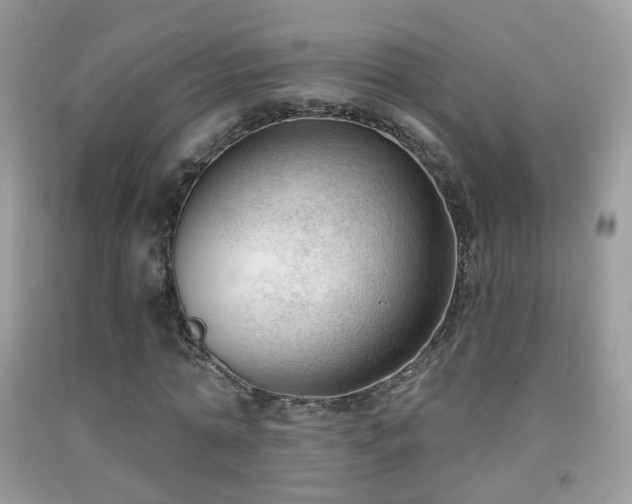 X0000091970774200709061331
