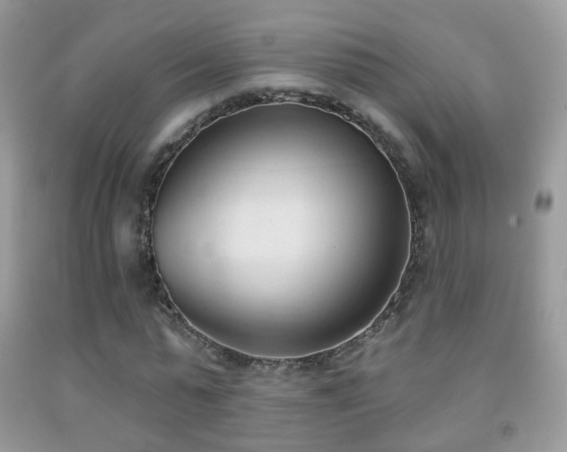 X0000091970775200709061331