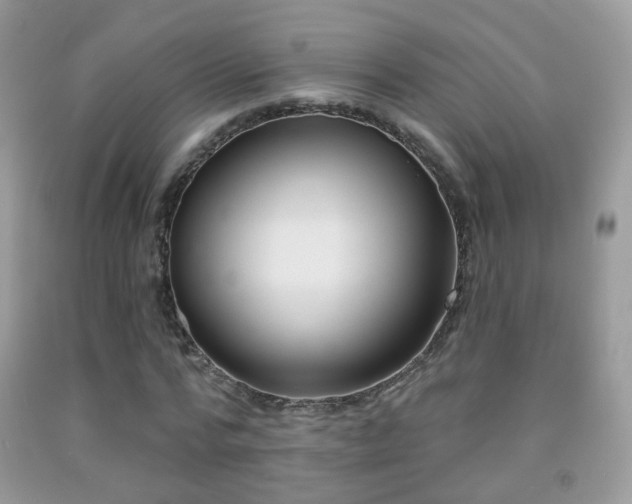 X0000091970776200709061331