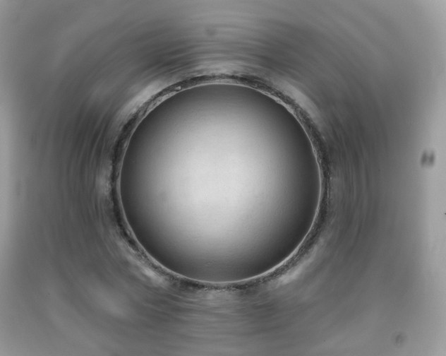 X0000091970778200709061331