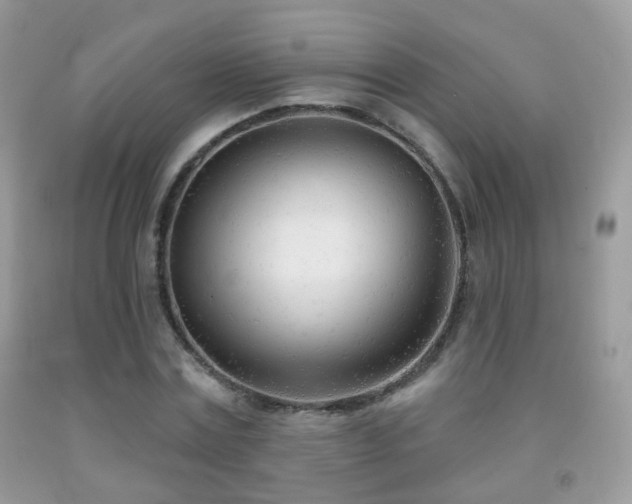X0000091970779200709061331