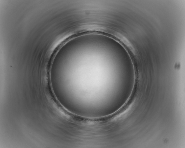 X0000091970782200709061331