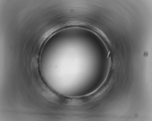 X0000091970786200709061331