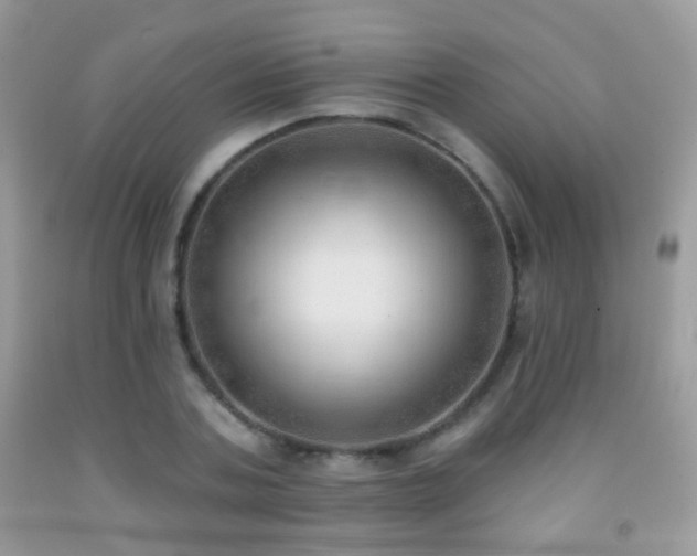 X0000091970787200709061331