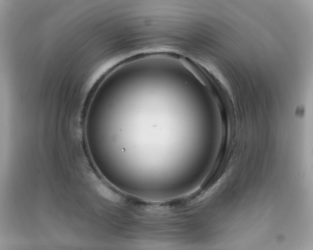 X0000091970789200709061331