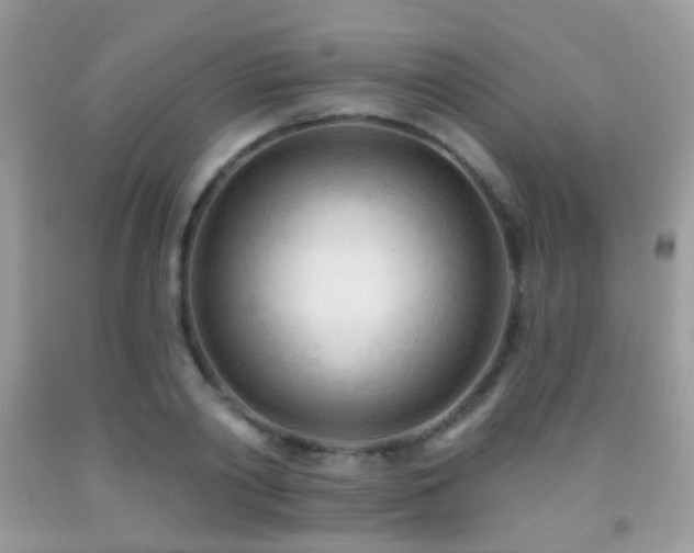 X0000091970790200709061331