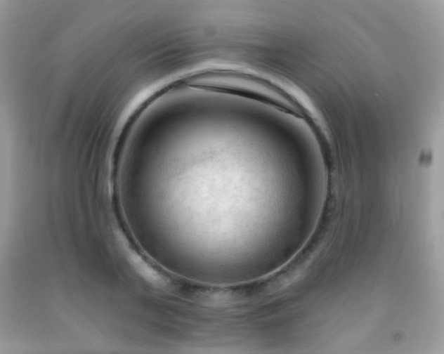 X0000091970791200709061331
