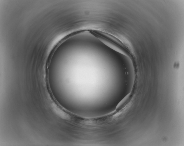 X0000091970792200709061331