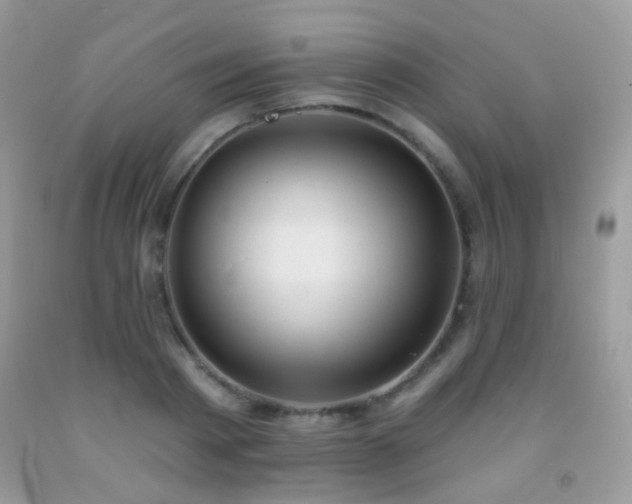 X0000091970793200709061331