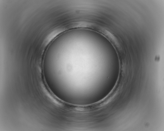 X0000091970794200709061331