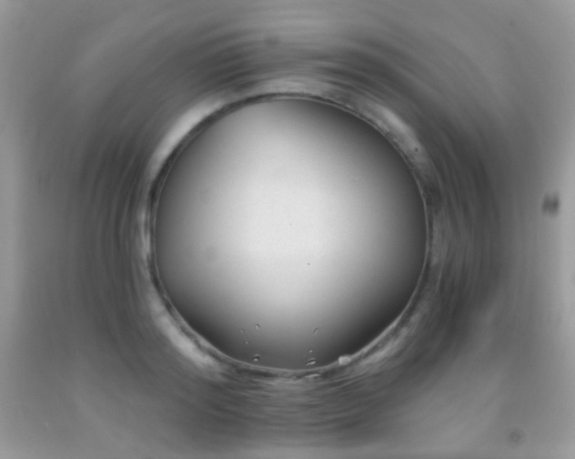 X0000091970796200709061331