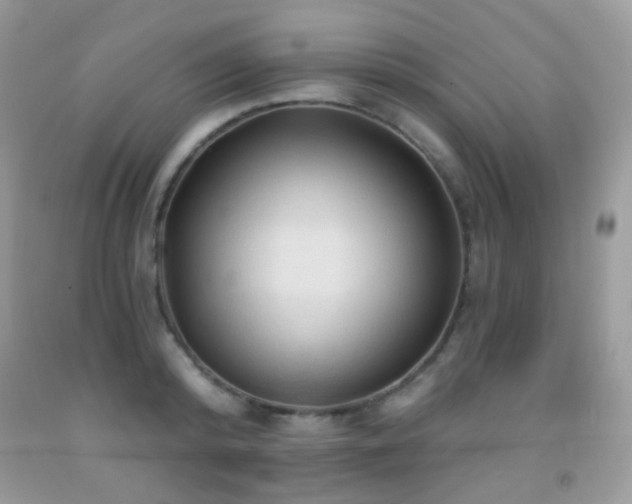 X0000091970800200709061331