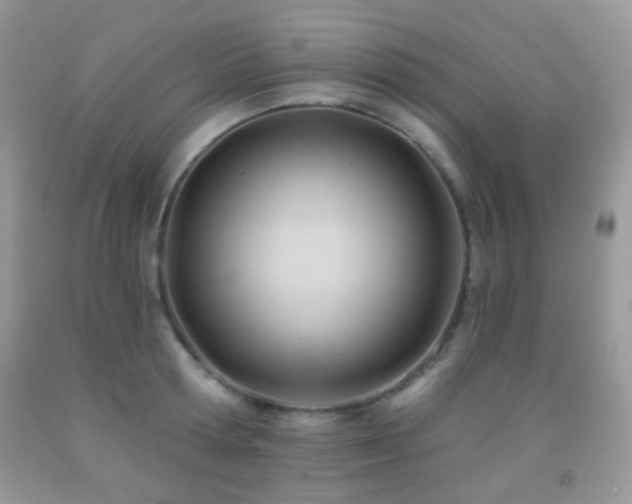 X0000091970802200709061330