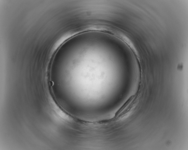 X0000091970803200709061330