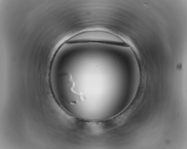 X0000091970805200709061330