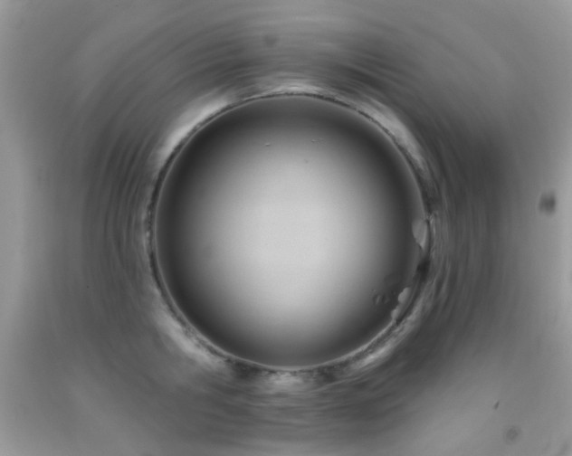 X0000091970806200709061330