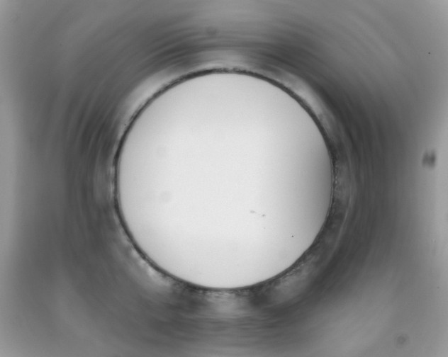 X0000091970807200709061330