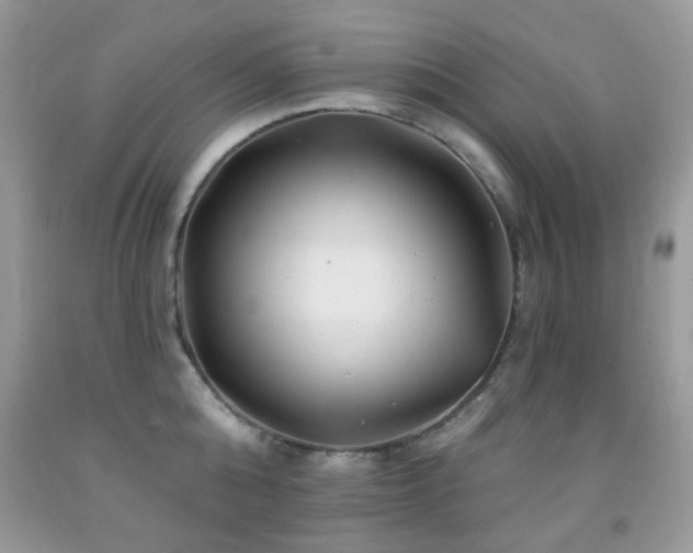X0000091970808200709061330