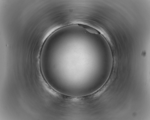 X0000091970814200709061330