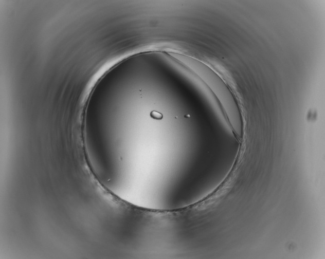 X0000091970816200709061330