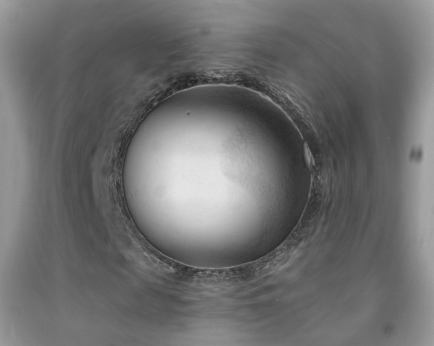 X0000091970817200709061330