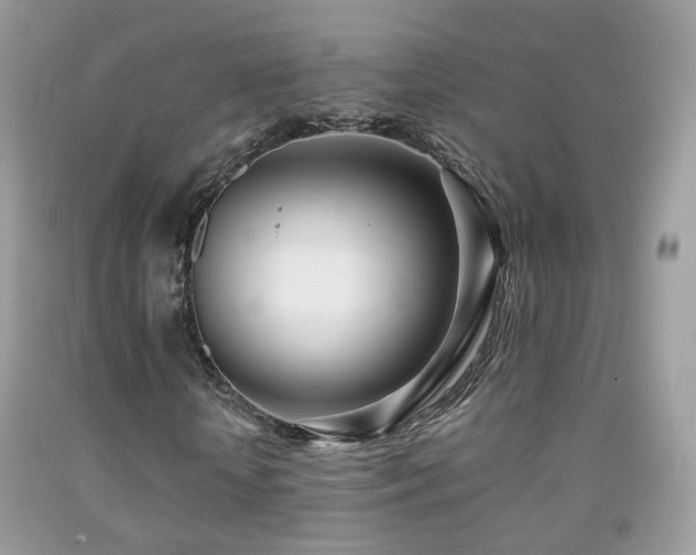 X0000091970818200709061330