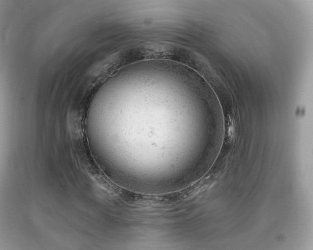 X0000091970819200709061330