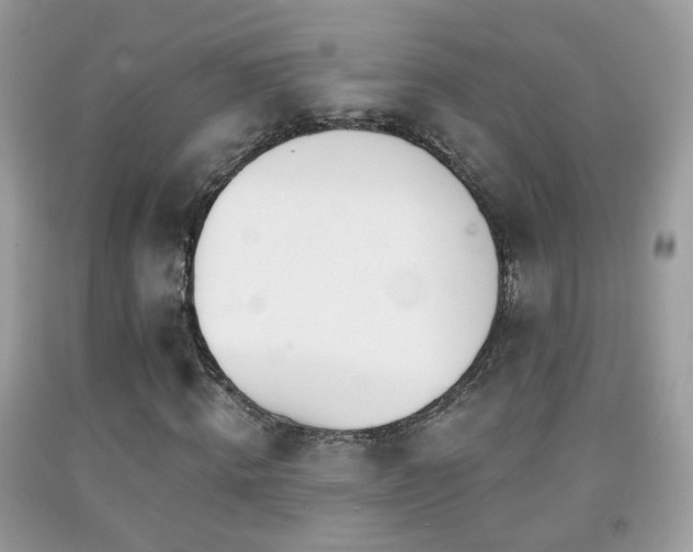 X0000091970820200709061330