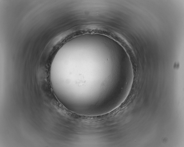 X0000091970823200709061330