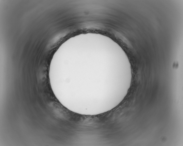 X0000091970824200709061330