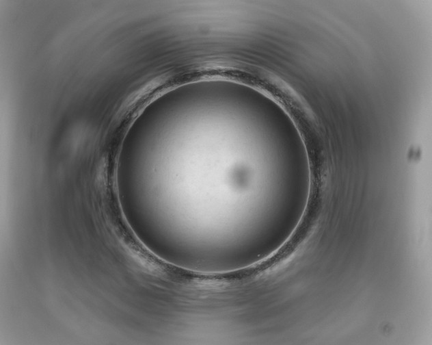 X0000091970825200709061330