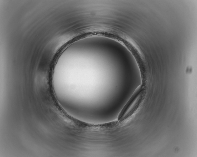 X0000091970826200709061330