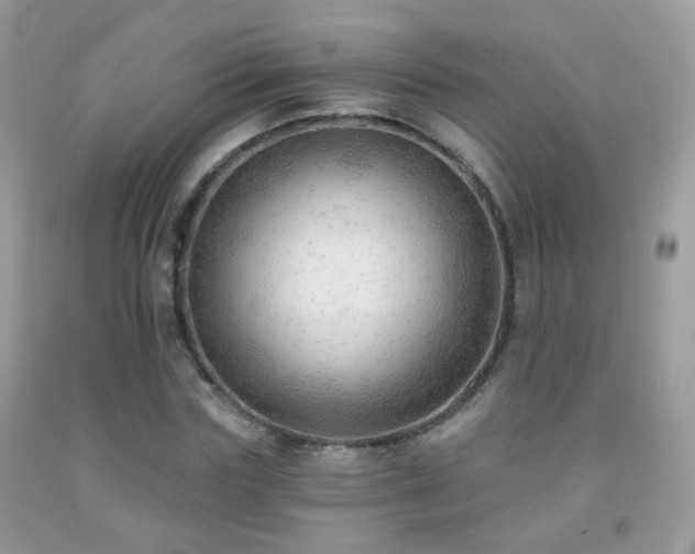X0000091970827200709061330