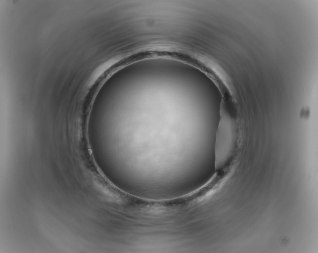 X0000091970829200709061330