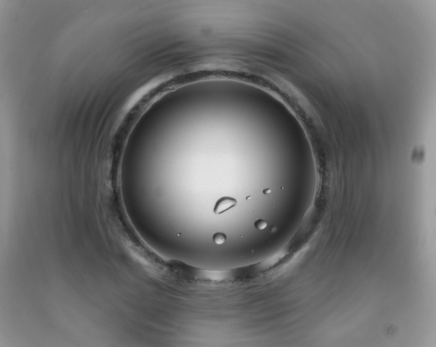 X0000091970830200709061330