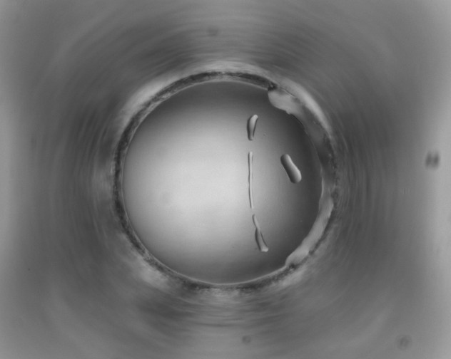 X0000091970831200709061330