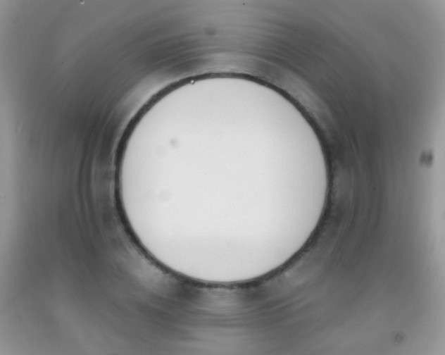 X0000091970836200709061330