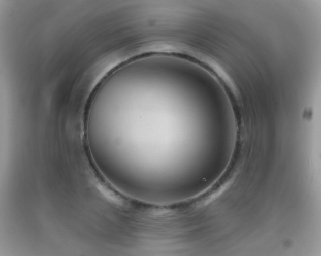 X0000091970837200709061330