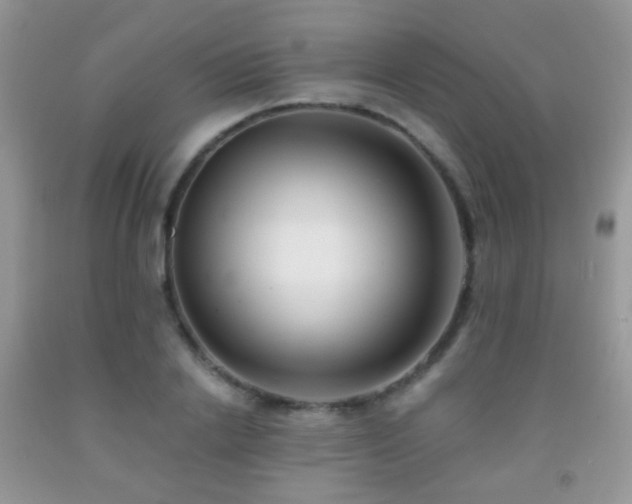 X0000091970838200709061330