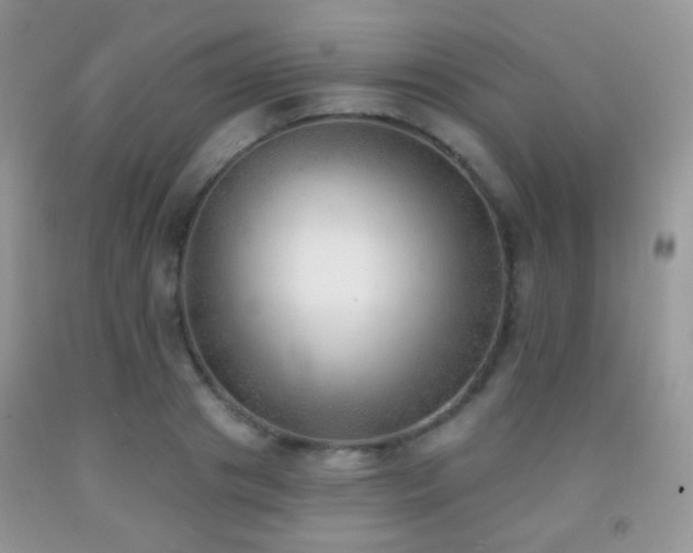 X0000091970841200709061330