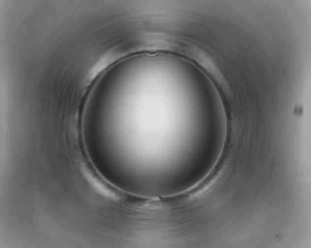 X0000091970842200709061330