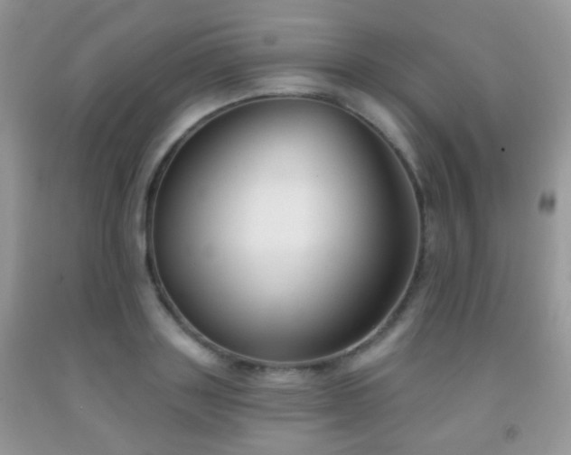 X0000091970843200709061330
