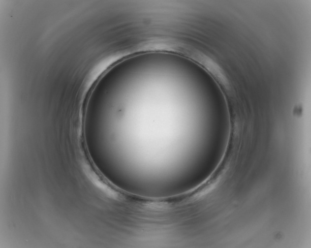 X0000091970844200709061330