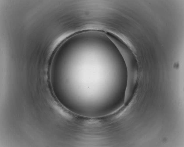 X0000091970846200709061330