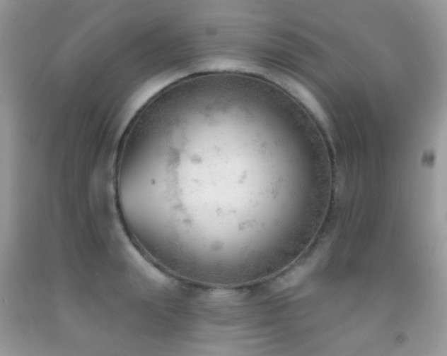 X0000091970847200709061330