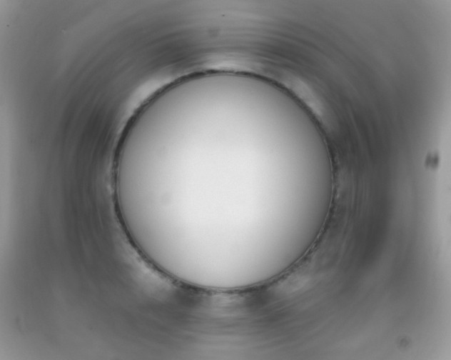 X0000091970848200709061330