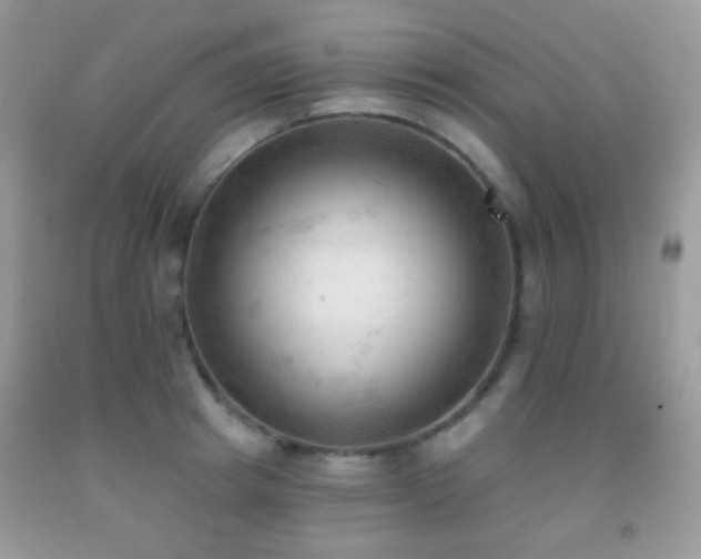 X0000091970849200709061330