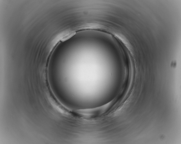 X0000091970850200709061330